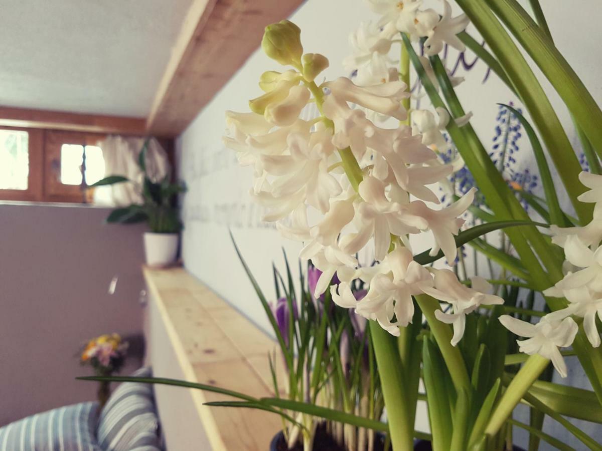 Grange Epiney Bed E Breakfast Bed & Breakfast La Salle Ngoại thất bức ảnh
